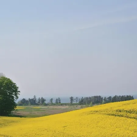 Lille Amalienborg Holiday home *