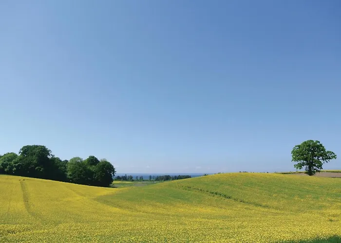 Lille Amalienborg Feriehus Tranekær