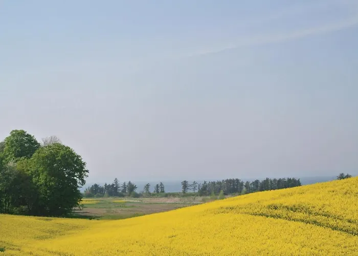 Lille Amalienborg Feriehus *